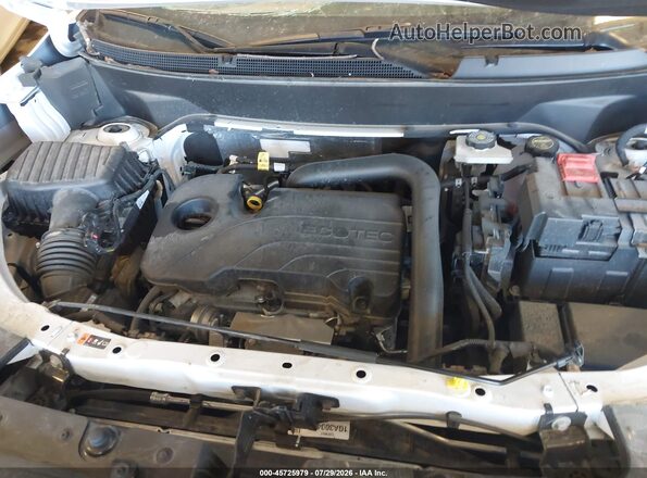 3GKALUEGXTL157023 2026 GMC TERRAIN White Widok z tyłu