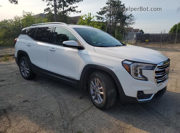 3GKALVEG8RL379154 2024 GMC TERRAIN White 