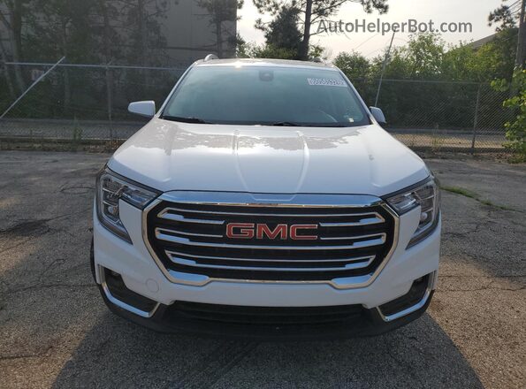 3GKALVEG8RL379154 2024 GMC TERRAIN White Вид наклейки з VIN-кодом