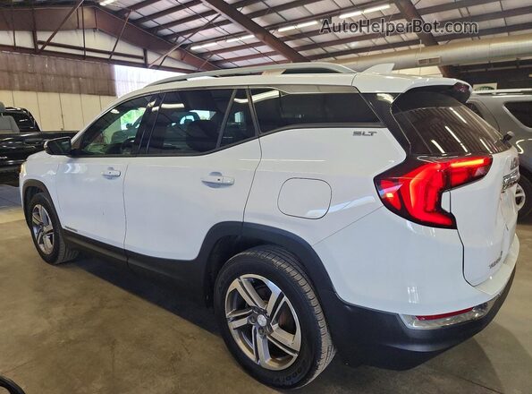 3GKALVEV0LL103542 2020 GMC TERRAIN Белый Задняя левая четверть