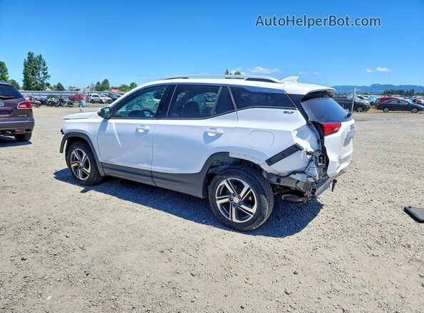 3GKALVEVXLL115696 2020 GMC TERRAIN White უკანა მარცხენა