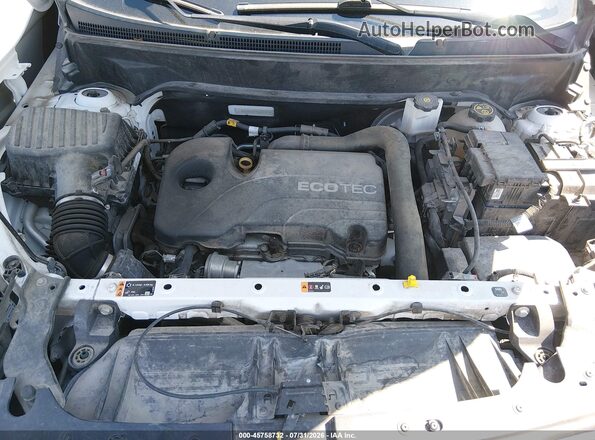 3GKALVEVXLL234817 2020 GMC TERRAIN White Vista trasera