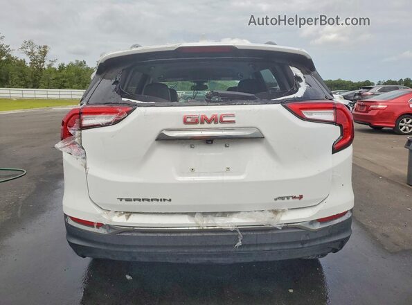 3GKALYEG1PL246458 2023 GMC TERRAIN Белый Вид сзади
