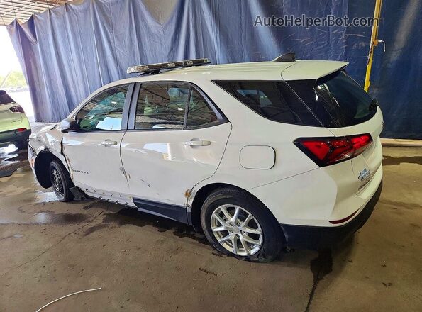 3GNAXFEG2RL257693 2024 CHEVROLET EQUINOX White Tył lewy
