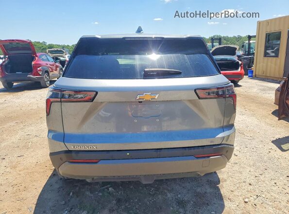 3GNAXHEG2SL219446 2025 CHEVROLET EQUINOX Серый Вид сзади