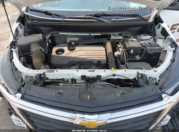 3GNAXHEG7PL272795 2023 CHEVROLET EQUINOX White უკანა ხედი