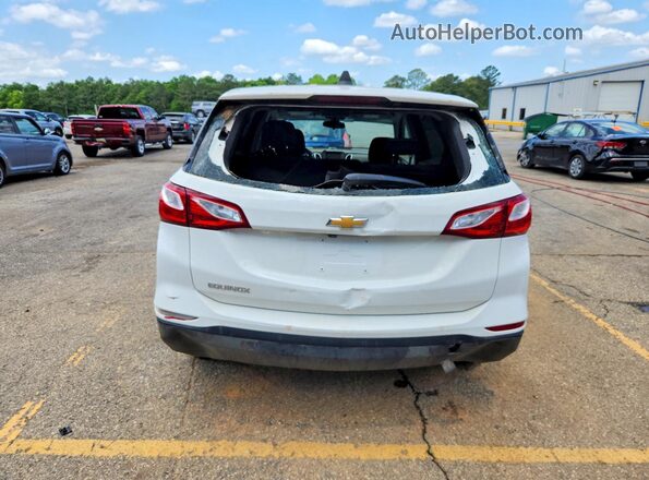 3GNAXHEV8LS693018 2020 CHEVROLET EQUINOX White Rear view