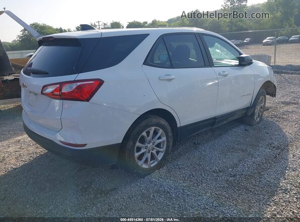 3GNAXHEV8MS130648 2021 CHEVROLET EQUINOX White Tył prawy