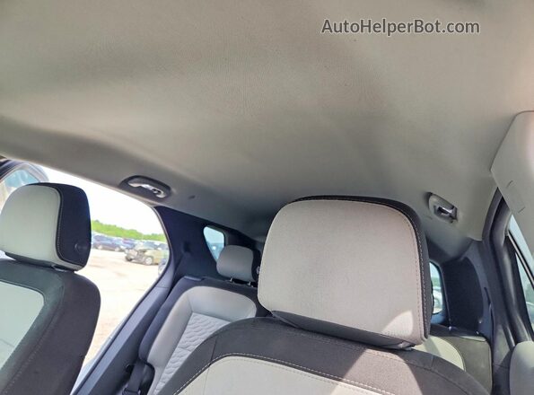 3GNAXHEV1LS684497 2020 CHEVROLET EQUINOX Silver Widok tylnych siedzeń