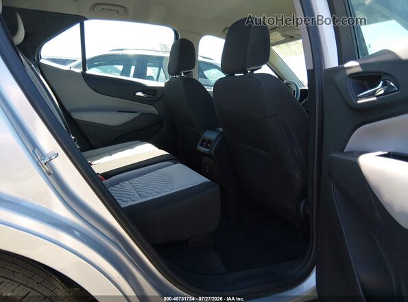 3GNAXHEVXLS698253 2020 CHEVROLET EQUINOX Silver Widok naklejki z numerem VIN