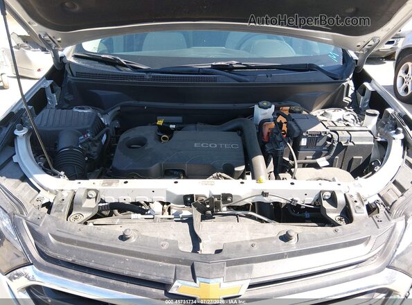 3GNAXHEVXLS698253 2020 CHEVROLET EQUINOX Silver Widok z tyłu