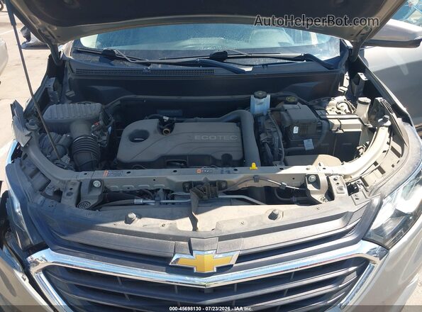 3GNAXJEV1JS576675 2018 CHEVROLET EQUINOX Gray Вид ззаду