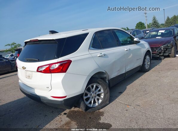3GNAXJEV1KS650548 2019 CHEVROLET EQUINOX White Tył prawy