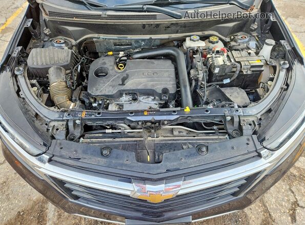 3GNAXKEG2PS167097 2023 CHEVROLET EQUINOX Gray Vista interior trasera