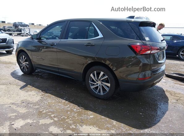 3GNAXKEG3PL233537 2023 CHEVROLET EQUINOX Brown Հետևի ձախ