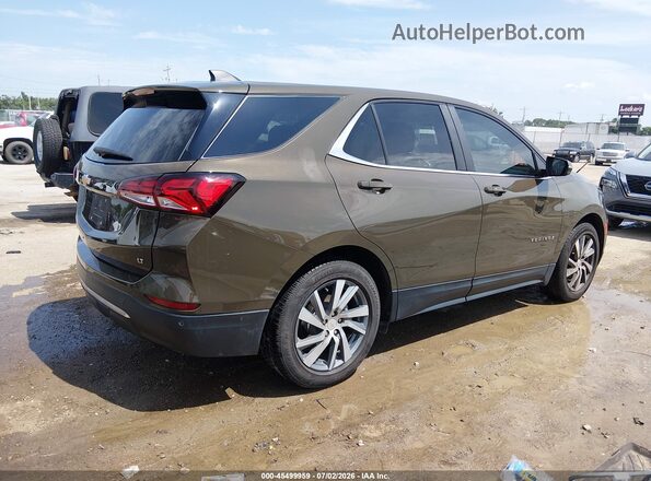 3GNAXKEG3PL233537 2023 CHEVROLET EQUINOX Brown Հետևի աջ