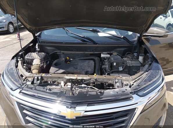 3GNAXKEG3PL233537 2023 CHEVROLET EQUINOX Brown Հետևի տեսք