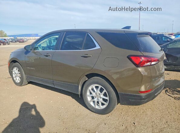 3GNAXKEG7RL124808 2024 CHEVROLET EQUINOX Brown Tył lewy