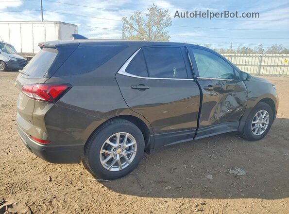 3GNAXKEG7RL124808 2024 CHEVROLET EQUINOX Brown Tył prawy