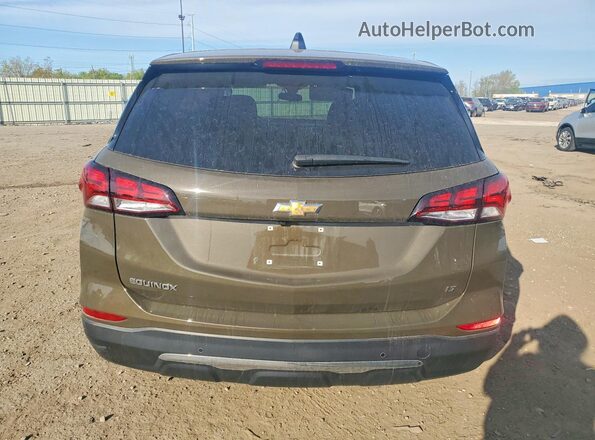 3GNAXKEG7RL124808 2024 CHEVROLET EQUINOX Brown Widok z tyłu