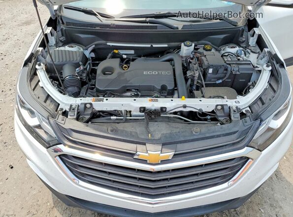 3GNAXKEV1MS165366 2021 CHEVROLET EQUINOX White Widok komory silnika