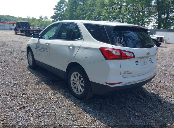 3GNAXKEV3MS169371 2021 CHEVROLET EQUINOX White Tył lewy