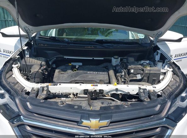 3GNAXKEV3MS169371 2021 CHEVROLET EQUINOX White Widok z tyłu