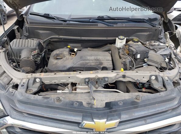 3GNAXKEV6KS511683 2019 CHEVROLET EQUINOX Brown Widok z tyłu