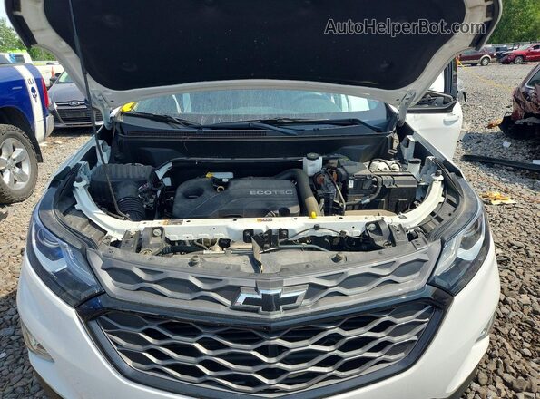 3GNAXKEVXLS540752 2020 CHEVROLET EQUINOX Белый Вид задней части салона