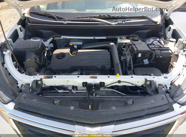 3GNAXSEG0PL230286 2023 CHEVROLET EQUINOX Белый Вид сзади
