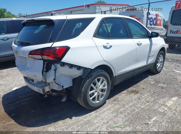 3GNAXSEG0RL264263 2024 CHEVROLET EQUINOX White Trasero derecho
