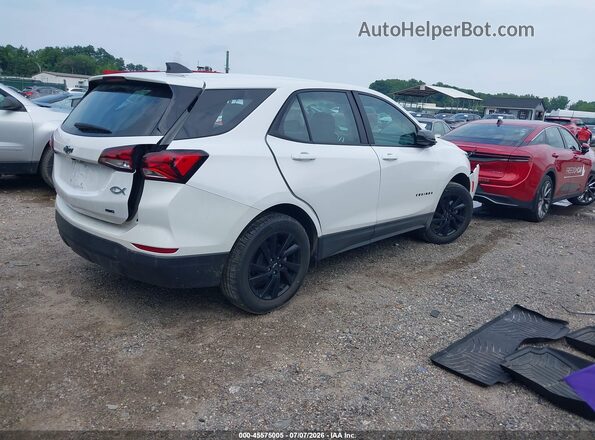 3GNAXSEG3PL228774 2023 CHEVROLET EQUINOX White Tył prawy
