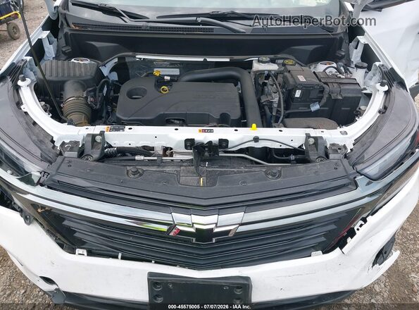 3GNAXSEG3PL228774 2023 CHEVROLET EQUINOX White Widok z tyłu