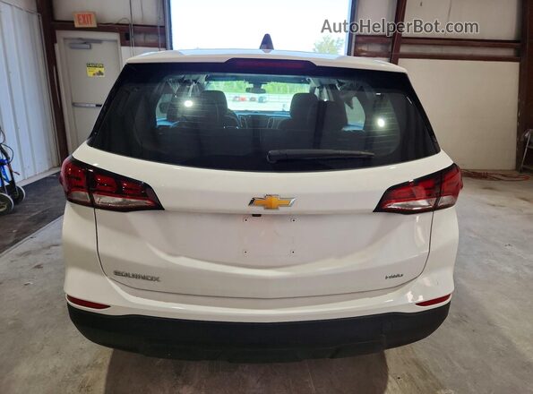 3GNAXSEG3PL238642 2023 CHEVROLET EQUINOX Белый Вид сзади