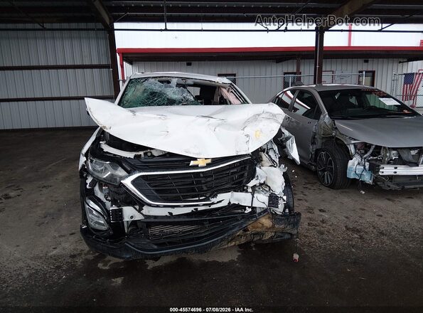 3GNAXSEV3JS546891 2018 CHEVROLET EQUINOX  Вид ззаду