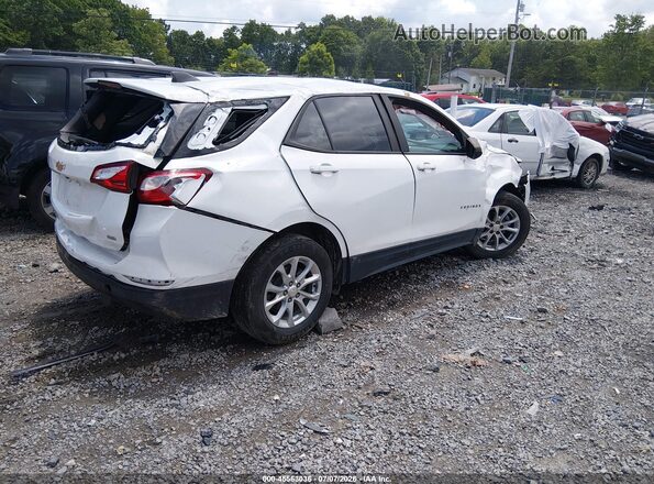 3GNAXSEV8MS176106 2021 CHEVROLET EQUINOX White Tył prawy