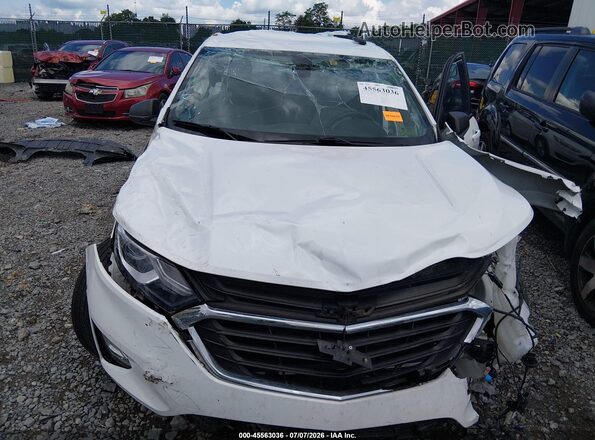 3GNAXSEV8MS176106 2021 CHEVROLET EQUINOX White Widok z przodu