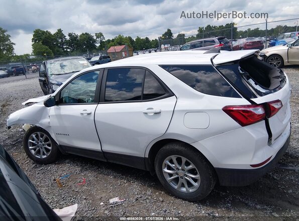 3GNAXSEV8MS176106 2021 CHEVROLET EQUINOX White 