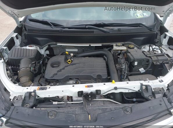3GNAXTEG9PS196053 2023 CHEVROLET EQUINOX Белый Вид сзади
