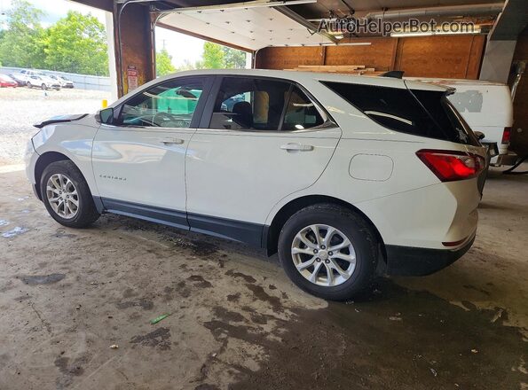 3GNAXTEV7MS149064 2021 CHEVROLET EQUINOX White Tył lewy