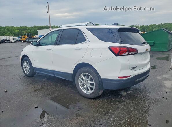 3GNAXUEG1RL346594 2024 CHEVROLET EQUINOX White Հետևի ձախ