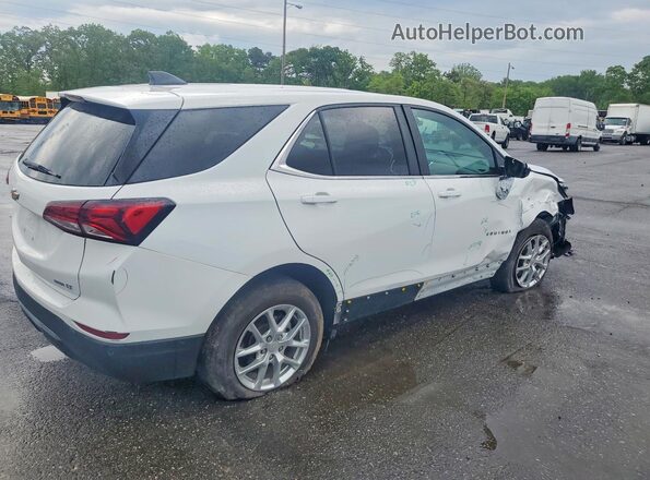 3GNAXUEG1RL346594 2024 CHEVROLET EQUINOX White Հետևի աջ