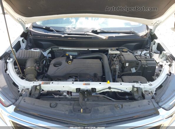 3GNAXUEG2PS175065 2023 CHEVROLET EQUINOX White Вид ззаду
