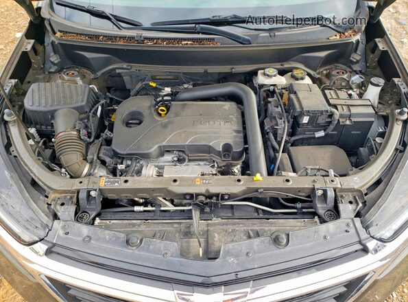 3GNAXUEG2RL243104 2024 CHEVROLET EQUINOX Brown Շարժիչի բաժամունքի տեսք