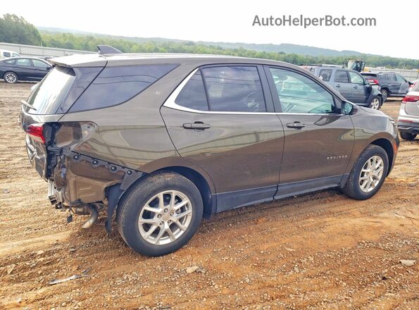 3GNAXUEG2RL243104 2024 CHEVROLET EQUINOX Brown Հետևի աջ