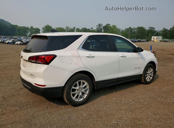 3GNAXUEG8PS157783 2023 CHEVROLET EQUINOX White Tył prawy