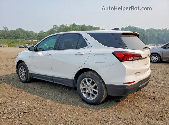 3GNAXUEG8PS157783 2023 CHEVROLET EQUINOX White Tył lewy