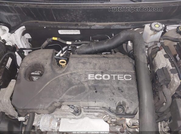 3GNAXUEV1KL176774 2019 CHEVROLET EQUINOX Белый Вид сзади