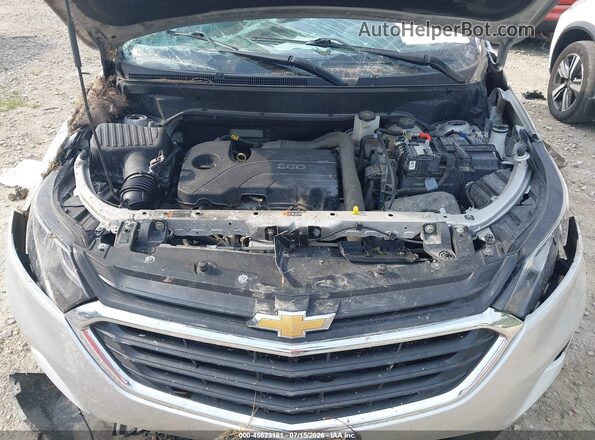 3GNAXUEV2LS721968 2020 CHEVROLET EQUINOX Silver Հետևի տեսք
