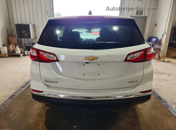 3GNAXUEV6MS137591 2021 CHEVROLET EQUINOX Белый Вид сзади